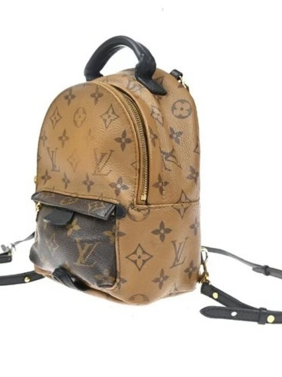 LOUIS VUITTON Palm Springs Mini Backpack Monogram Reverse Brown M44872 98KD053 main image 11